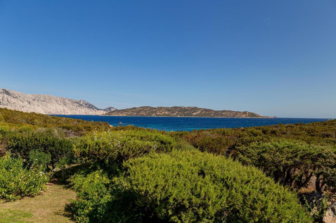 Appartamento Cala Paradiso San Teodoro  Kültér fotó